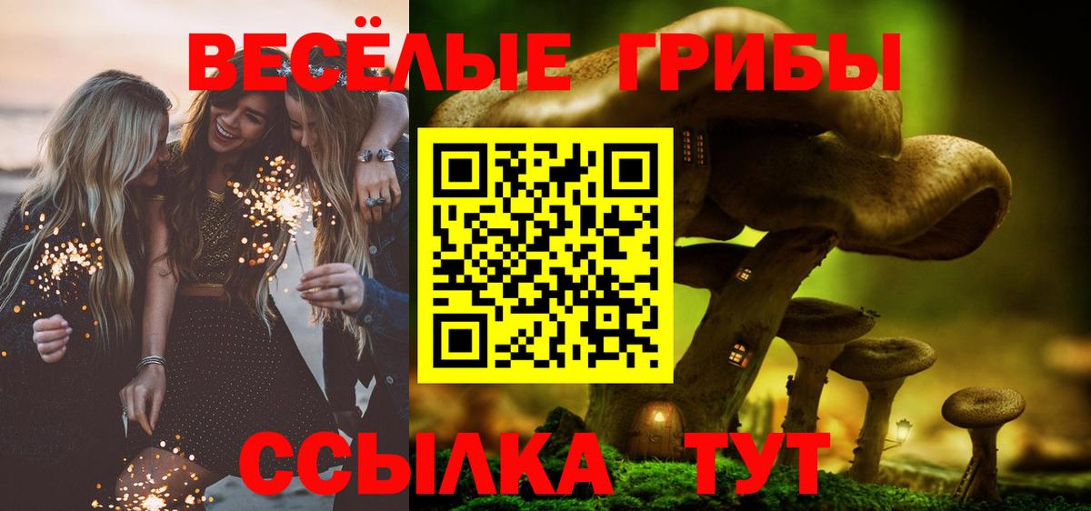 Выкса  Галлюциногенные грибы мицелий  Вход с VPN 